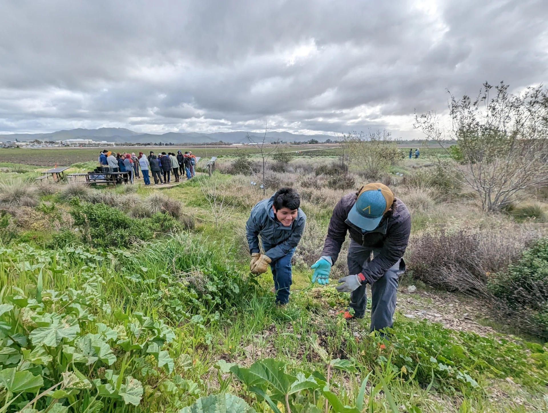 Orig Photo689059 5989959.webp